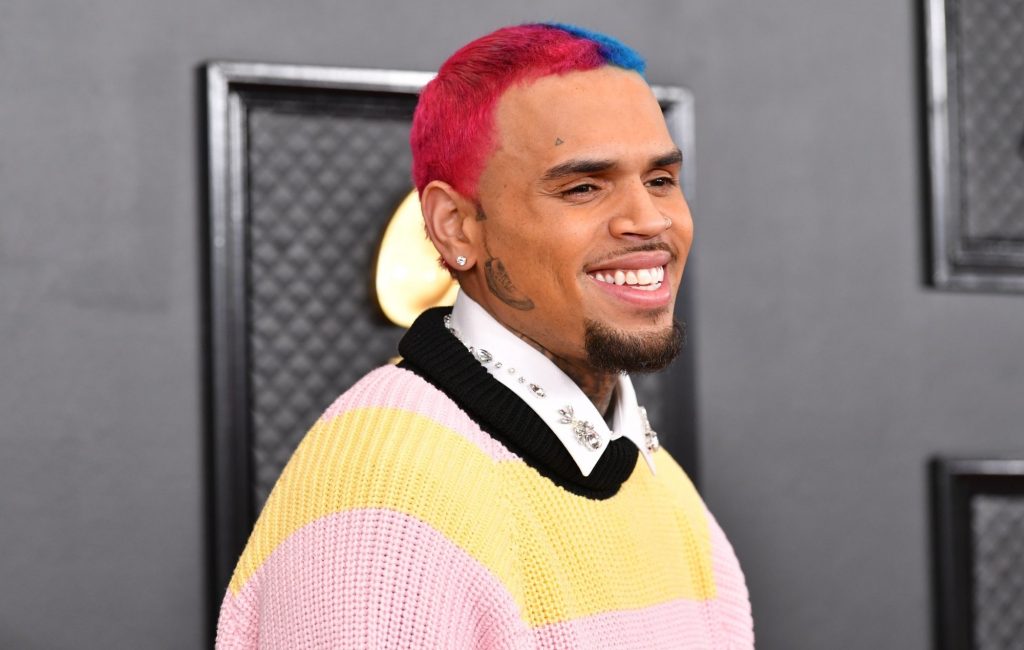 Chris Brown 2024 Net Worth Tami Elenore