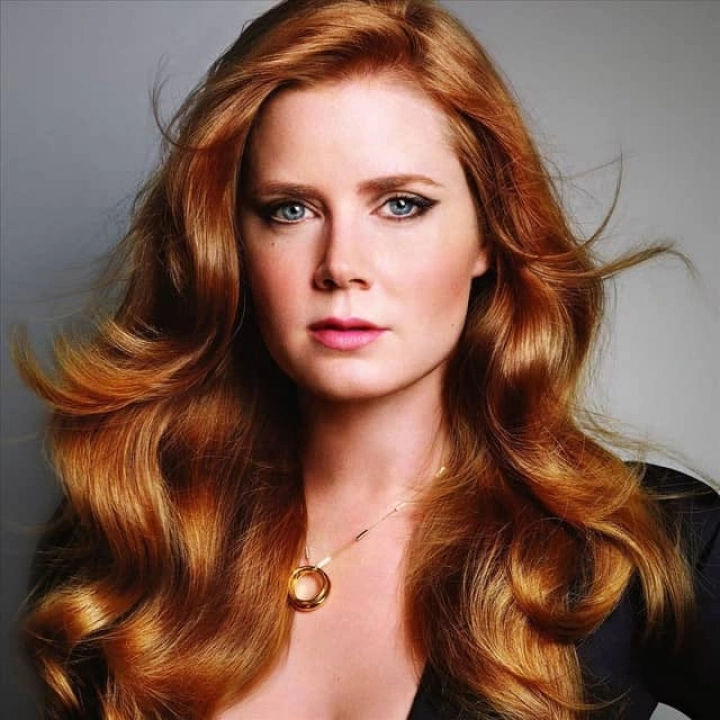 Amy Adams Height, Net Worth, Age, Husband, Family, Educational Qualification, Career, and more