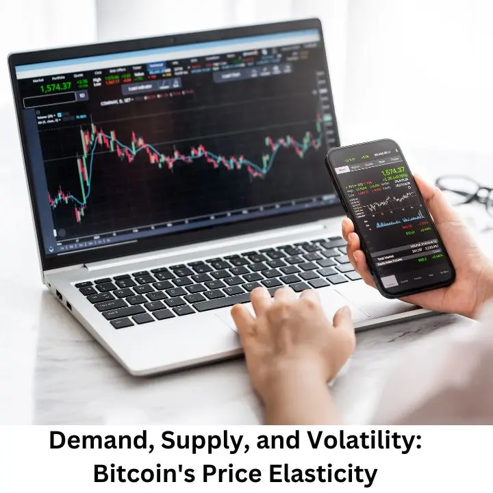 Demand, Supply, and Volatility: Bitcoin’s Price Elasticity