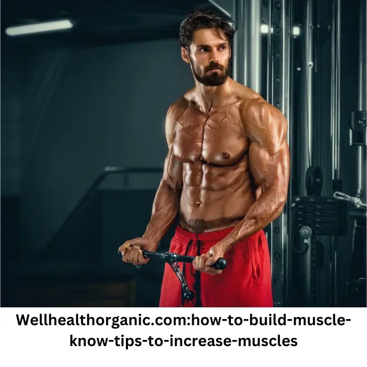 Wellhealthorganic.com:How-to-Build-Muscle-Know-Tips-to-Increase-Muscles: Building and Maintaining Muscle