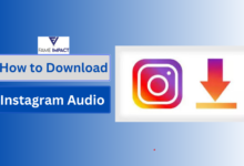 How to Download Instagram Audio